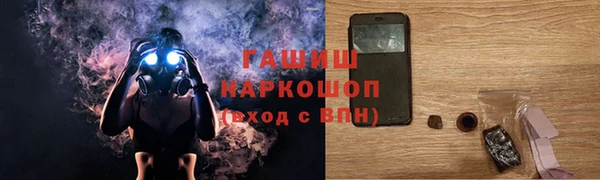 индика Горнозаводск