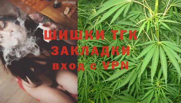 индика Горнозаводск