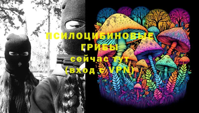 Галлюциногенные грибы Magic Shrooms  Любим 